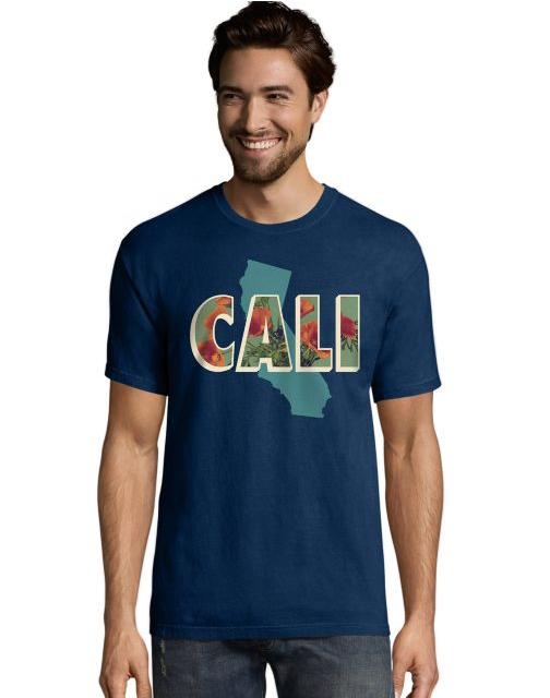 Hanes Men's California Postcard Graphic Tee GT49 Y06363