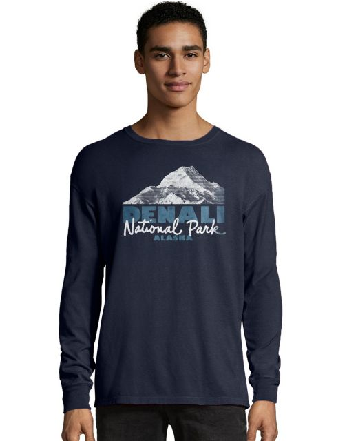 Hanes Men's ComfortWash™ Denali Park Mountains National Park LS Tee G200P Y08050
