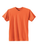 Hanes Men's Nano-T® T-shirt 4980
