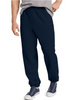 Hanes ComfortBlend® EcoSmart® Men's Sweatpants P650