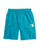 Champion Men's Powerblend™ Fleece Shorts, Big C Logo GF38H Y07689