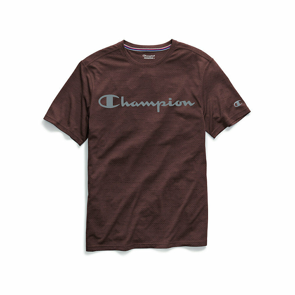 Champion Men's Double Dry® Heather Mesh Textured Tee, Script Logo T0766G 549988