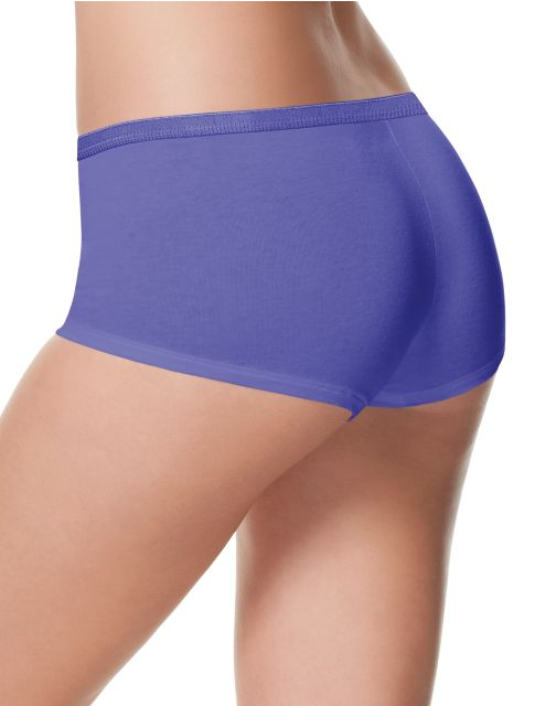 Hanes Women's Boy Brief Panties 6-Pack P649AS