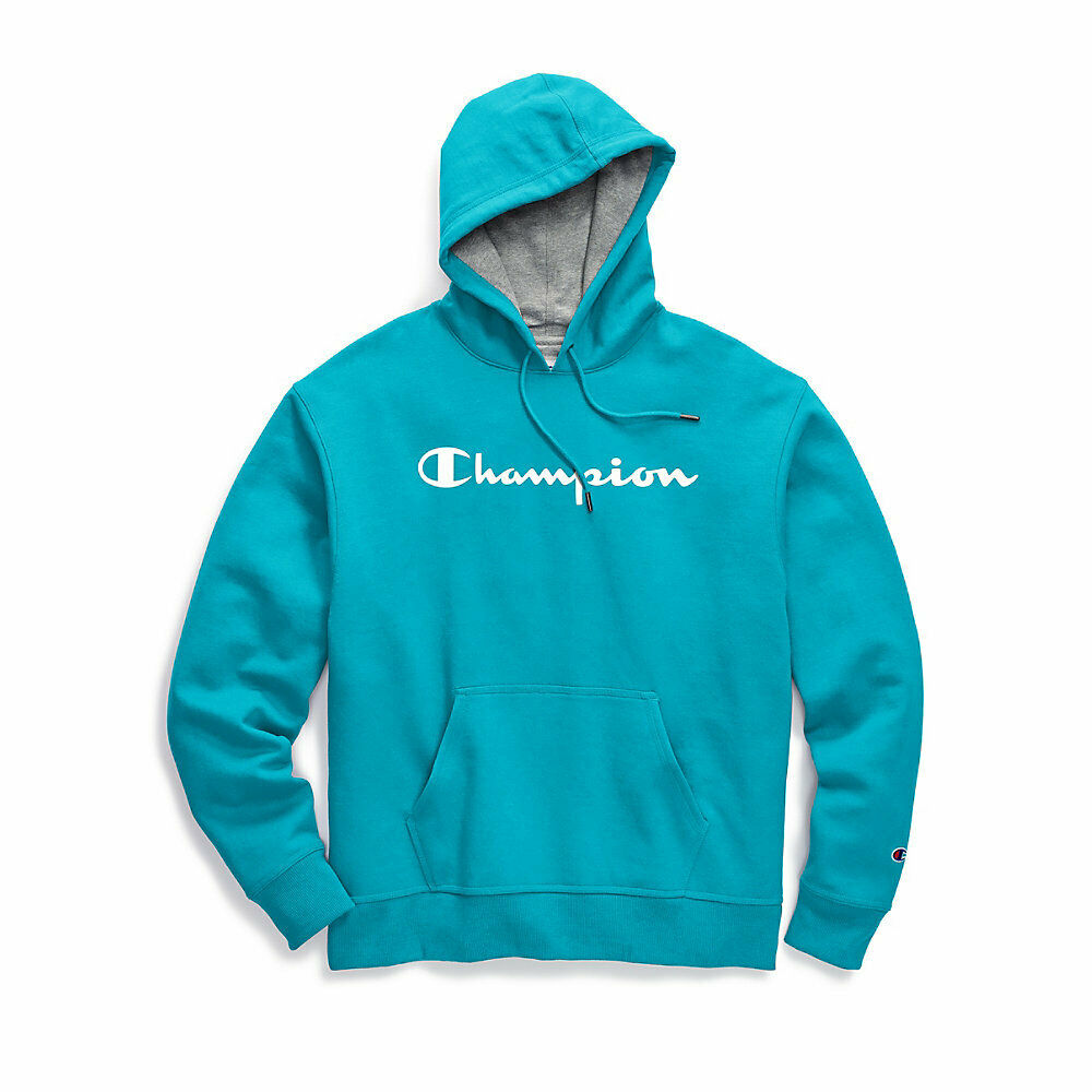 Champion Men's Powerblend® Fleece Pullover Hoodie, Script Logo GF89H Y07703