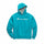 Champion Men's Powerblend® Fleece Pullover Hoodie, Script Logo GF89H Y07703