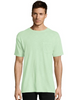 Hanes Men's 1901 Heritage Dyed Tall Short Sleeve Crewneck Pocket T 5A63D GRTDYE