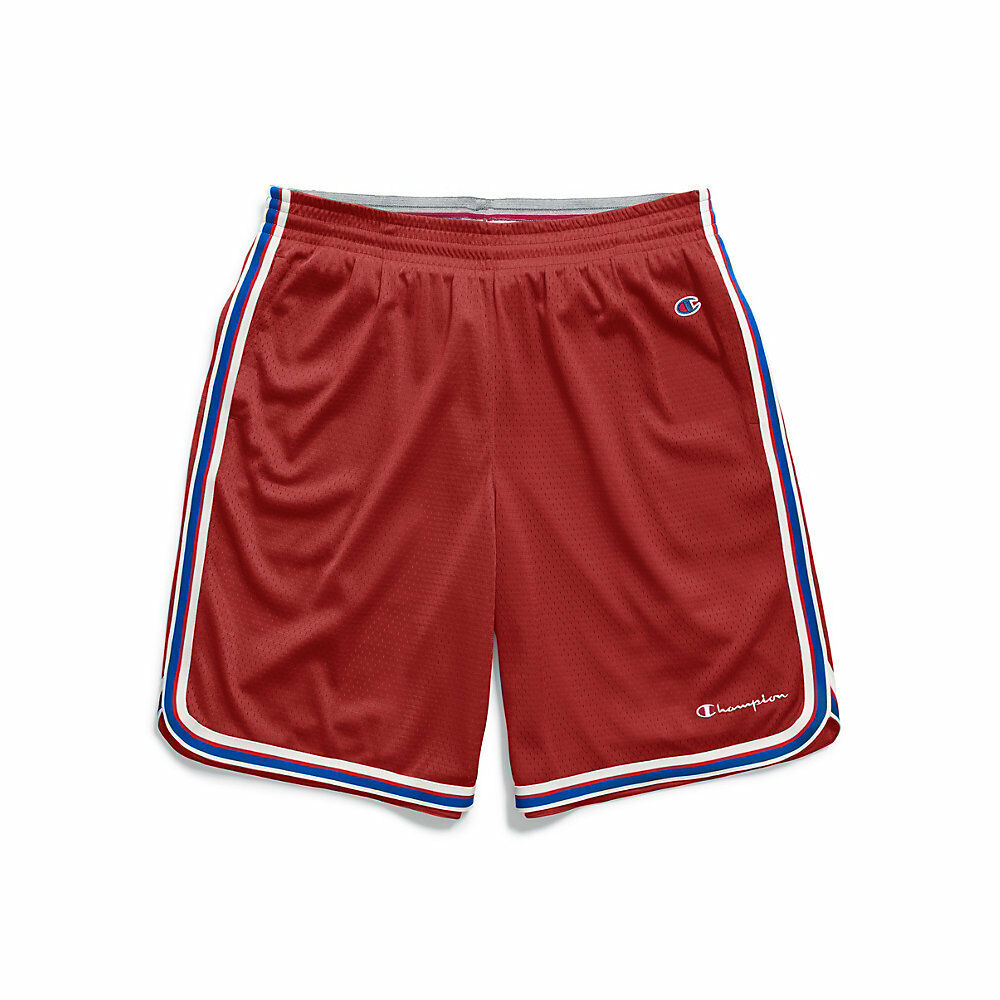 Champion Men's Core Basketball Shorts 89519 549811