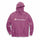 Champion Women's Plus Powerblend® Fleece Hoodie, Script Logo GF140 Y07466