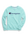 Champion Women's Powerblend® Fleece Boyfriend Crew, Script Logoc GF567 Y07418