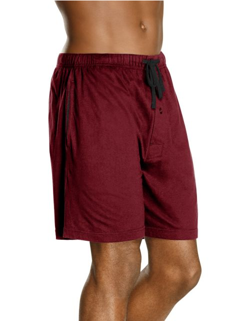 Hanes Men's Jersey Lounge Drawstring Shorts with Logo Waistband 2-Pack 01005