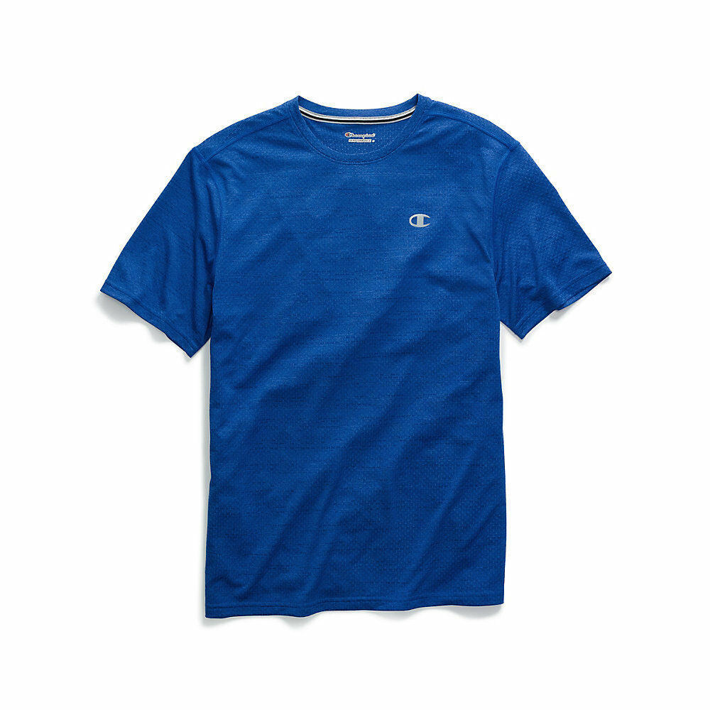 Champion Men's Double Dry® Mesh Texture Tee T0766M