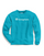 Champion Men's Powerblend® Fleece Crew, Script Logo GF88H Y07703