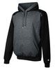 Champion Men's Double Dry Eco Colorblocked Fleece Hood S750