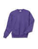 Hanes Youth ComfortBlend® EcoSmart® Crewneck Sweatshirt P360