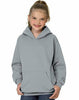 Hanes Youth ComfortBlend EcoSmart Pullover Hoodie P473