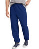 Hanes ComfortBlend® EcoSmart® Men's Sweatpants P650