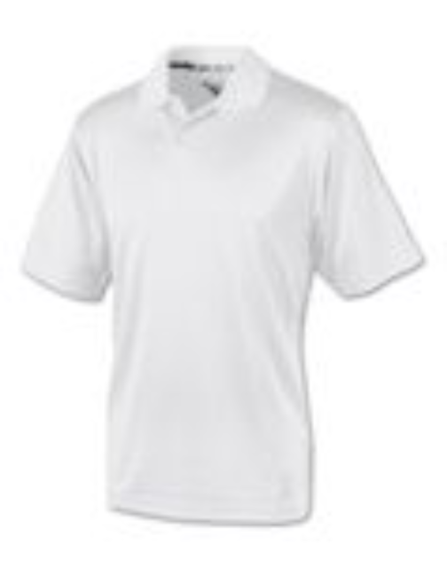 Champion Men's Double Dry Ultimate Polo H131