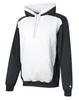 Champion Men's Double Dry Eco Colorblocked Fleece Hood S750