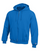 Champion Double Dry Action Fleece Full Zip Hood S800