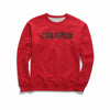 Champion Men's Powerblend® Fleece Crew, Mesh-Effect Logo GF88H Y07420