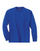 Hanes Youth ComfortSoft® TAGLESS® Long-Sleeve T-Shirt 5546