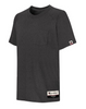 Champion Authentic Originals Men's Soft-Wash Short Sleeve Pocket T AO250 GRTDYE