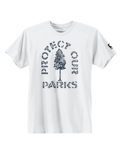 Hanes Protect Our Parks National Park Graphic Tee GT49P Y07658