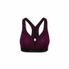 Champion The Curvy Sports Bra B9373