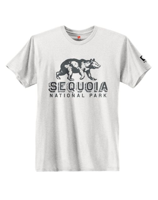 Hanes Sequoia National Park Graphic Tee GT49P Y07654