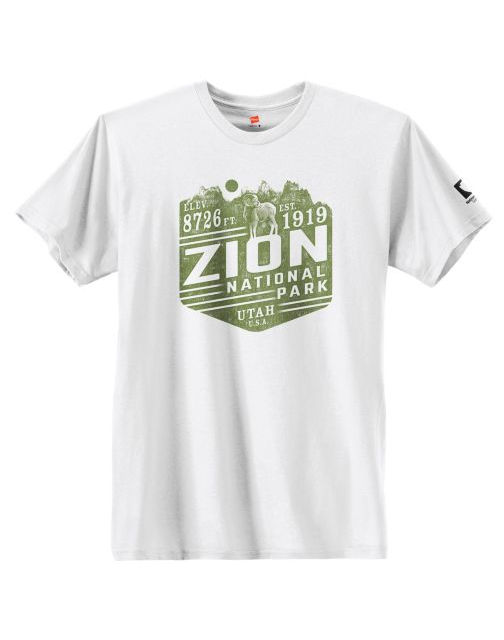 Hanes Zion National Park Graphic Tee GT49P Y07656