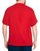 Champion Big & Tall Men's Short Sleeve Jersey Tee CH305
