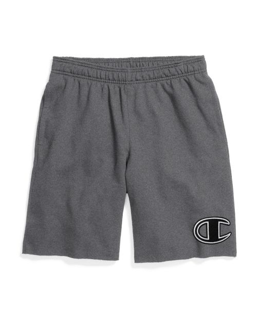 Champion Men's Powerblend™ Fleece Shorts, Big C Logo GF38H Y07972