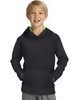 Hanes Sport™ Boy's Tech Fleece Pullover Raglan Hoodie OD258